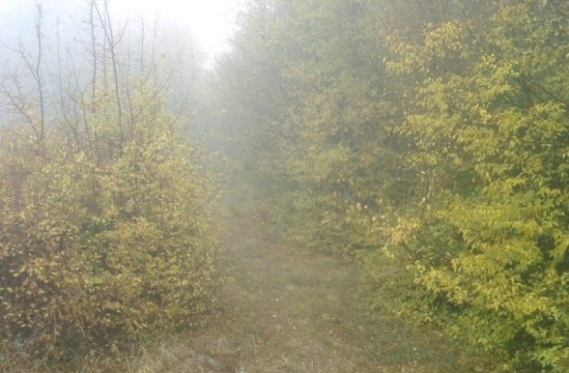 Дъжд и вятър в региона днес