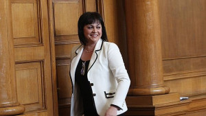 БСП иска да спре незаконната сеч в горите с нов