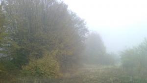 Валежи в региона на Габрово