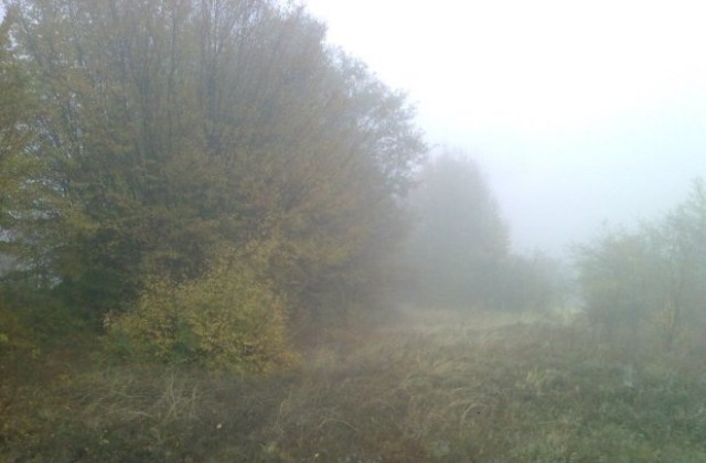 Валежи в региона на Габрово