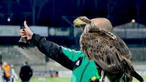 Талисманът на Лудогорец ще зарадва деца сираци