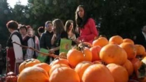 За осми пореден път почитат райската ябълка в Хрищени