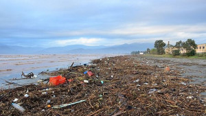 Евроджъст Организирани групи стоят зад престъпленията срещу околната среда
