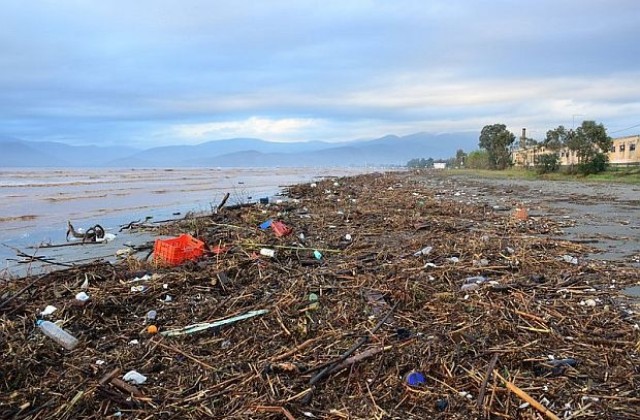 Евроджъст: Организирани групи стоят зад престъпленията срещу околната среда