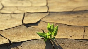 Глобалното затопляне ще продължи през 21 век застудяване след 10002000