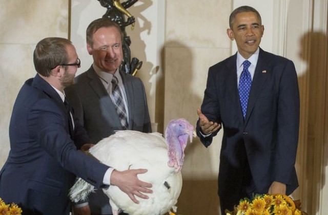 Обама „помилва” две пуйки за Деня на благодарността