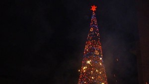 Коледната елха ще светне на 1 декември