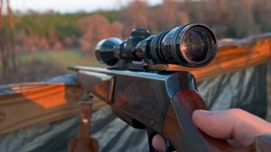 Откриха застрелян благороден елен в землището на Лозево