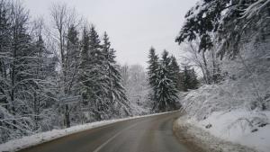 АПИ призовава Тръгвайте на път само с подготвени за зимни