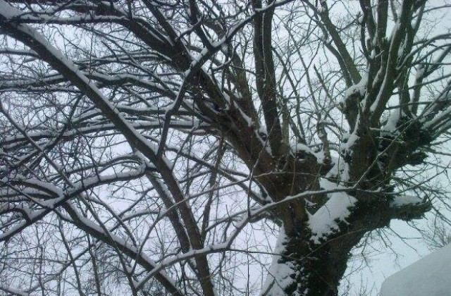 Сняг над цяла Северна България