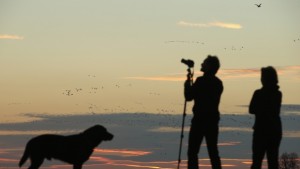 2014а се очертава като найгорещата година от 130 години насам