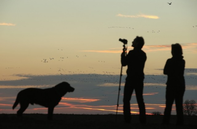2014-а се очертава като най-горещата година от 130 години насам