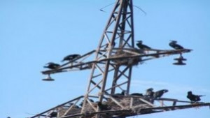 Районът от гарата до КАТ е без ток