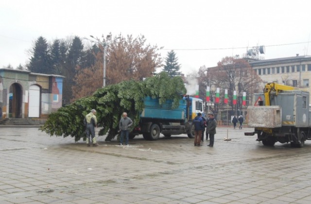 Коледната елха в Кюстендил ще грейне на 10 декември