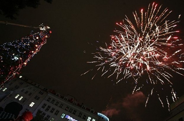 Грейна коледната елха в София