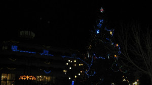 Грейна Коледната елха в Дупница