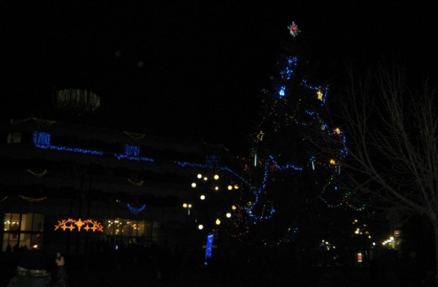 Грейна Коледната елха в Дупница