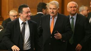 АБВ поиска работна група да оформи обща декларация за Южен