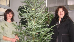 Ротари клуб отново зарадва децата и гражданството на Мездра