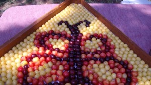 Номинират сорт кюстендилски череши в Съкровищницата на вкусове