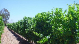 Смесената земеделска комисия ще заседава в с Мечка