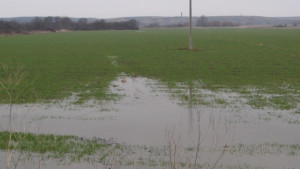 Няма населени места без ток в областта