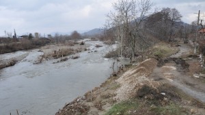 Евакуират свинеферма в сливенското село Крушаре