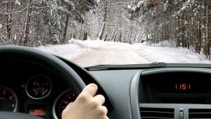 Анализатор на пиянската реч може да замени дрегера