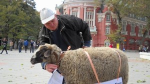 Шаран подарява шарани на шарани
