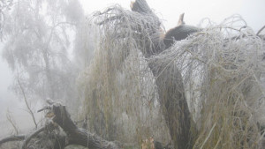 Ледената епоха във Видинско и Монтанско продължава