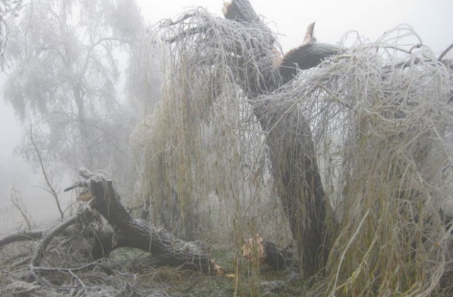 „Ледената епоха във Видинско и Монтанско продължава