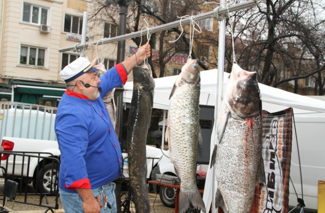 Риби – рекордьори сготвиха в центъра на Стара Загора