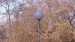 Младеж от Исперих вандалства в Благоевград