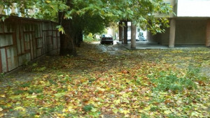 В Бургаско е спокойно