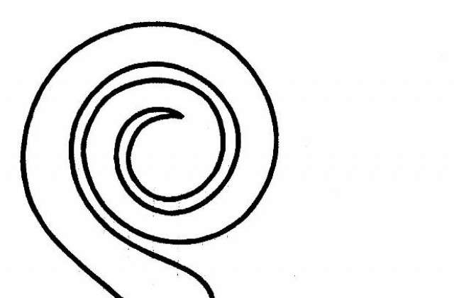 Габровски камерен оркестър свири европейска музика, създавана през последните 500 години