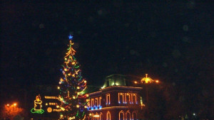 Коледните светлини на елхата в Кюстендил светват утре