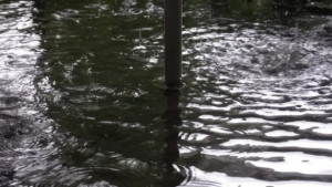 Областният управител изпрати писма до кметове за контрол на язовирите