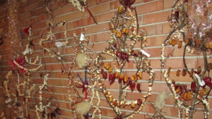 Изложба и концерт в подкрепа на 9годишния Алекс