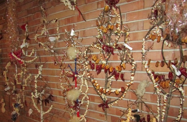 Изложба и концерт в подкрепа на 9-годишния Алекс