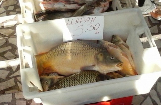 Без нарушения в магазините за риба