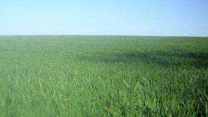 2300 са земеделските производители в областта