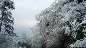 ТИРове аварират по пътищата на Северозапада