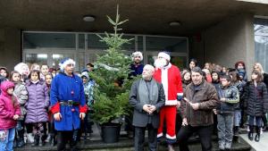 Над 50 живи коледни дръвчета грейват в детските градини и