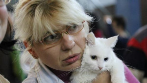 Търновка развъжда котки шампиони СНИМКИ