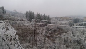 Изявление на ръководството на ЧЕЗ Електроразпределение България