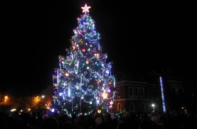 Грейна Коледната елха в Кюстендил