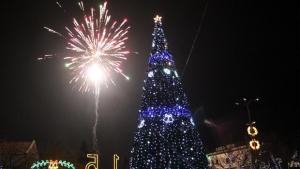 Елхата в Царево грейна