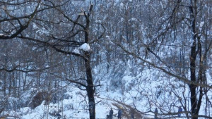 Възстановиха електрозахранването в цялата област Видин