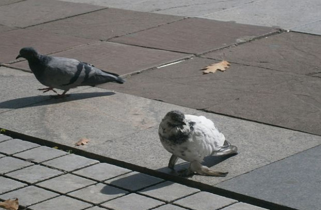 Повече слънце
