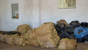 Тютюнопроизводители блокират пътища ако проблемите им не бъдат решени